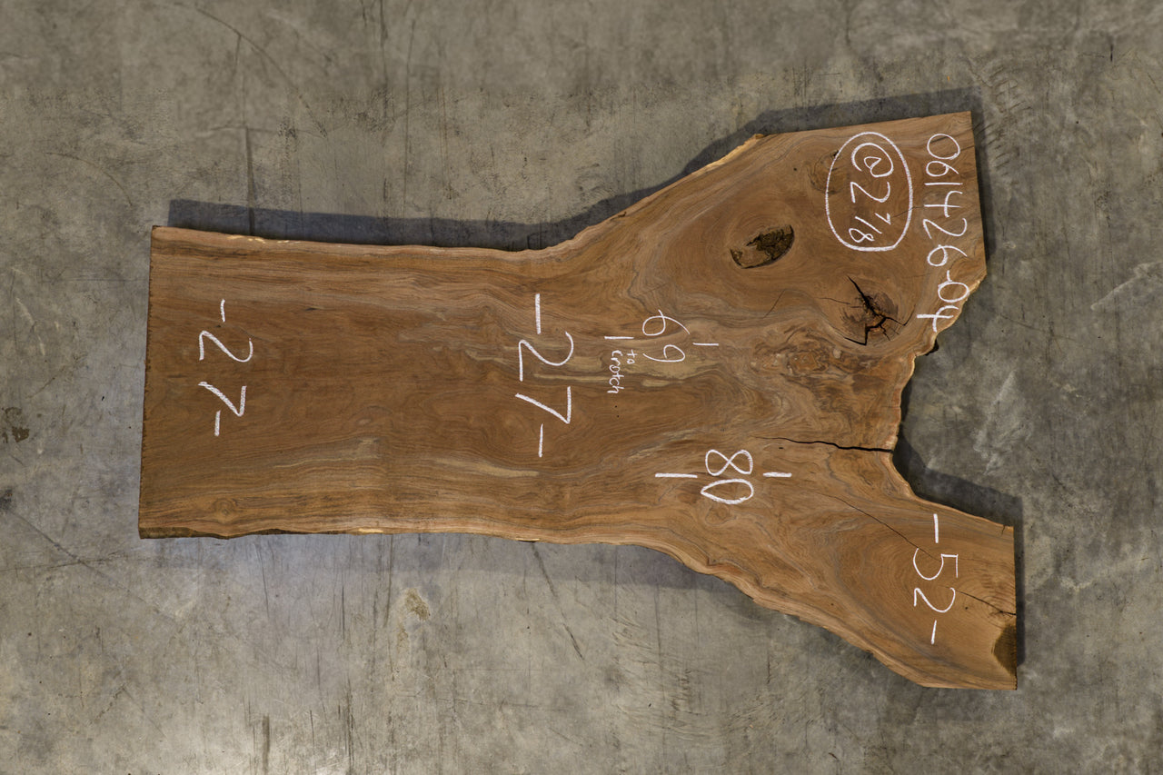 Oregon Black Walnut Slab 061426-04
