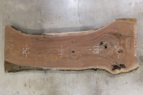 Oregon Black Walnut Slab 101026-01