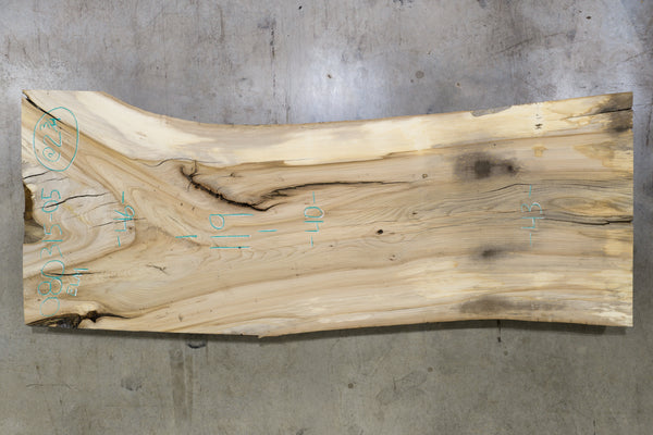 Elm Slab 080315-05