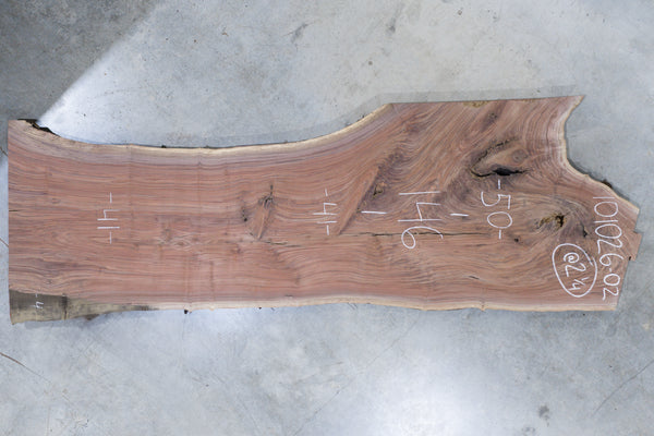 Oregon Black Walnut Slab 101026-02
