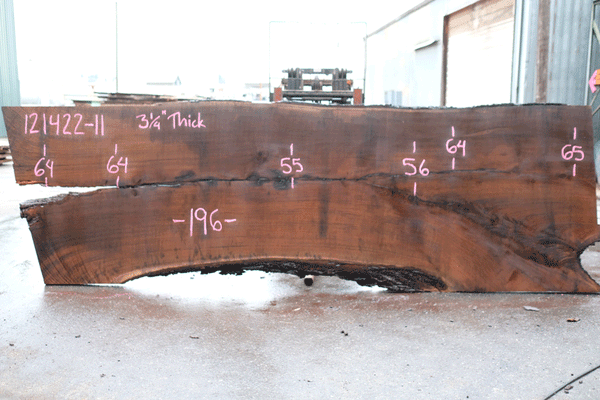 Oregon Black Walnut Slab 121422-11