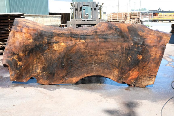 Oregon Black Walnut Slab 051323-03 – Goby Walnut