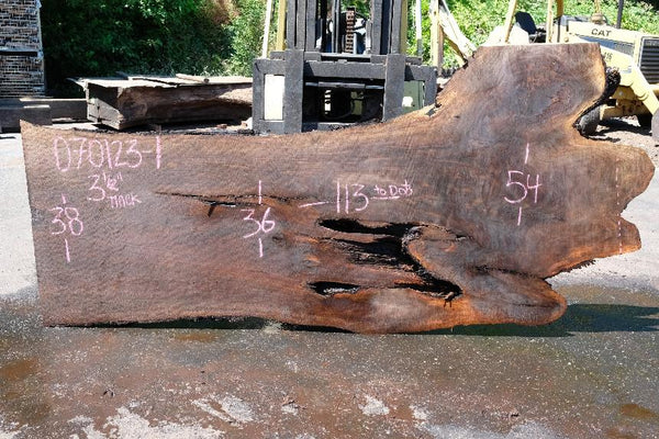 Oregon Black Walnut Slab 070123-01