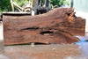 Oregon Black Walnut Slab 070123-03