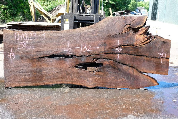 Oregon Black Walnut Slab 070123-03