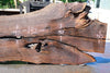 Oregon Black Walnut Slab 070123-03