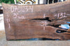 Oregon Black Walnut Slab 070123-04