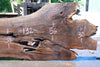 Oregon Black Walnut Slab 070123-04