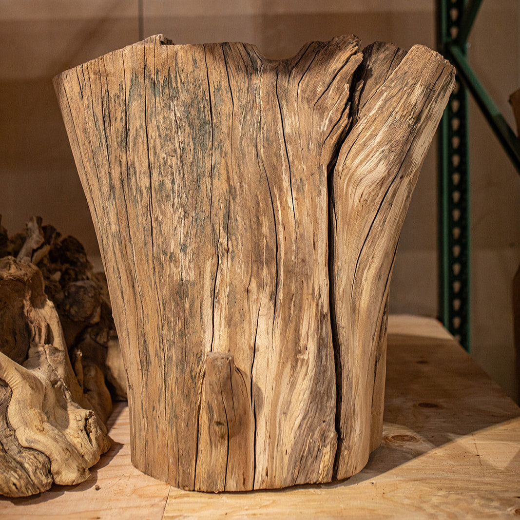 Madrone Stump C002