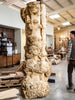 Maple Burl Log C049