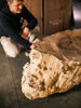 Big Leaf Maple Burl Block C021