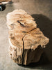 Big Leaf Maple Burl Block C021
