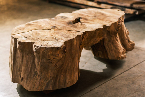 Big Leaf Maple Burl Block C021