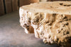 Big Leaf Maple Burl Block C020