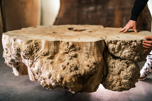 Big Leaf Maple Burl Block C020