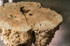 Big Leaf Maple Burl Block C020