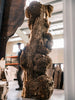 Maple Burl Log C049