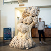 Maple Burl Log C048