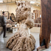 Maple Burl Log C048