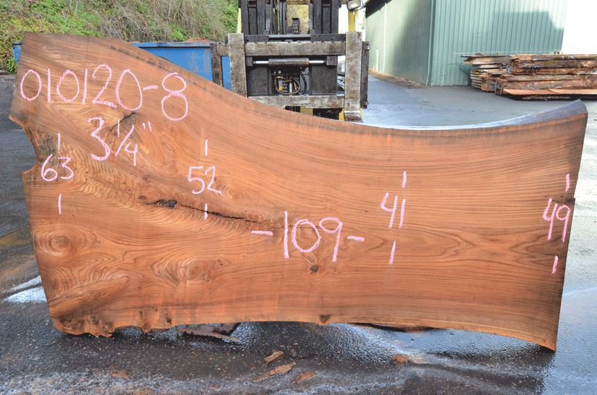 Elm Slab 010120-08