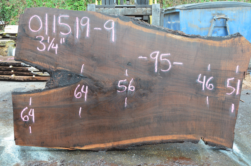 011519-09 Oregon Black Walnut Slab