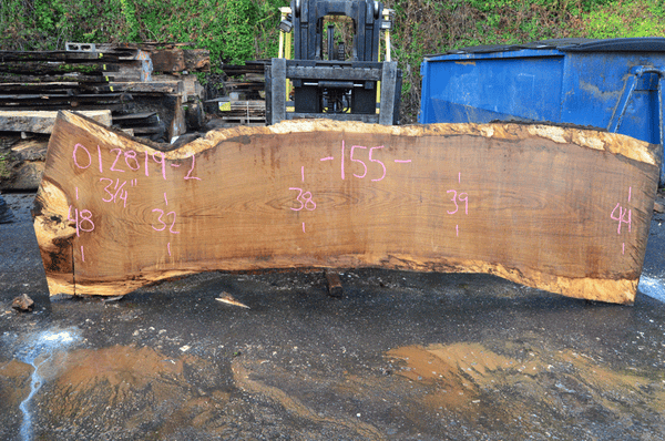 012819-02 Oregon White Oak Slab