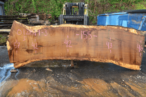 012819-03 Oregon White Oak Slab