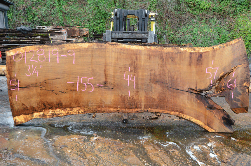 012819-09 Oregon White Oak Slab