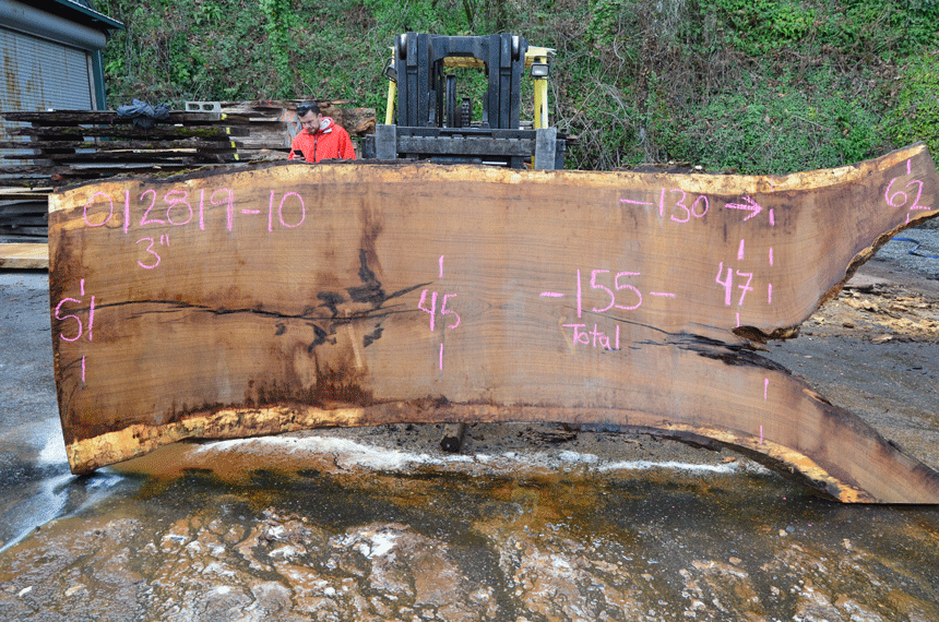 012819-10 Oregon White Oak Slab