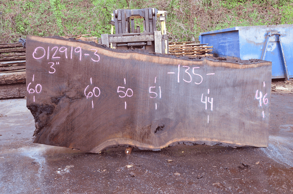 012919-03 Oregon Black Walnut Slab