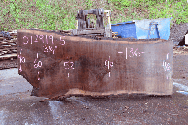 012919-05 Oregon Black Walnut Slab