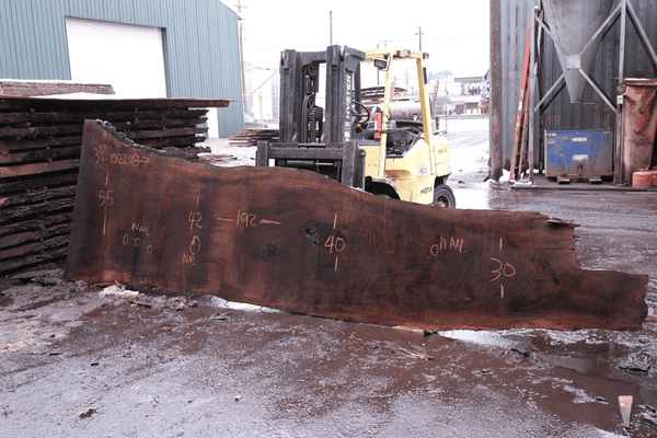 Oregon Black Walnut Slab 022318-07