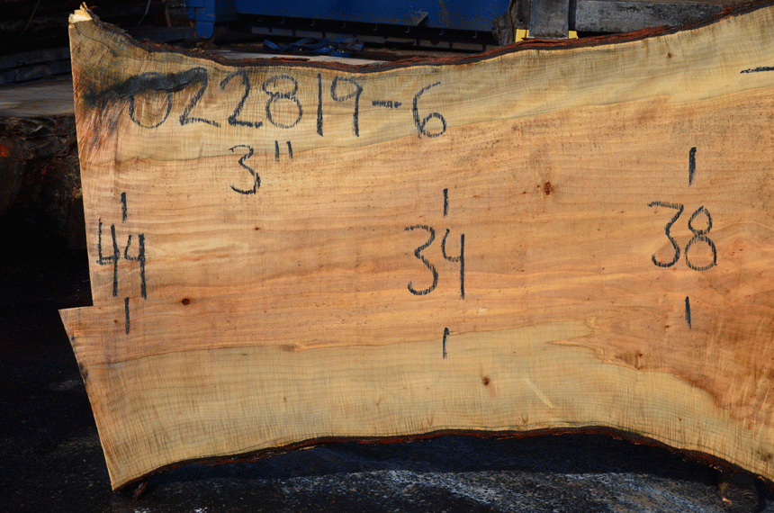 022819-06 Big Leaf Maple Slab – Goby Walnut