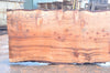 Redwood Slab 030422-08