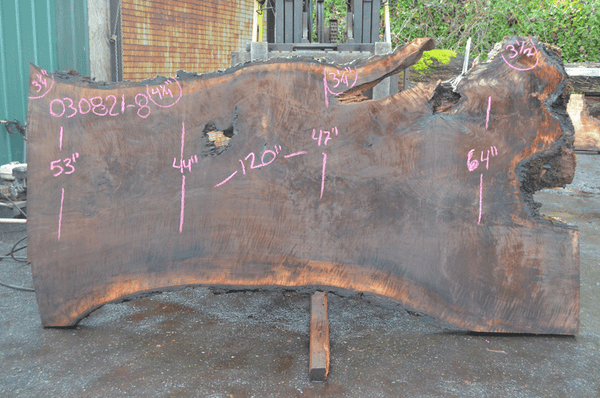 Oregon Black Walnut Slab 030821-08