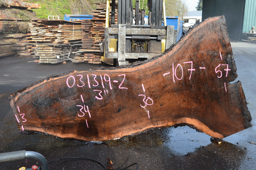 031319-02 Oregon Black Walnut Slab