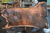 031319-04 Oregon Black Walnut Slab