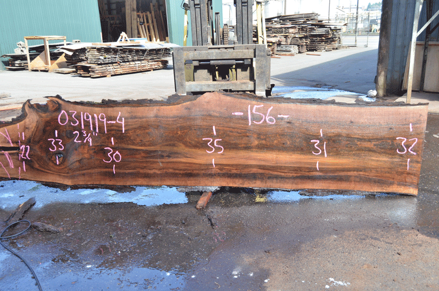 031919-04 Oregon Black Walnut Slab