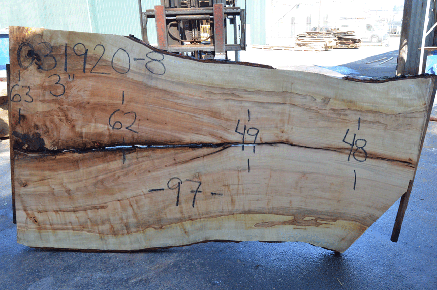 Big Leaf Maple Slab 031920-08