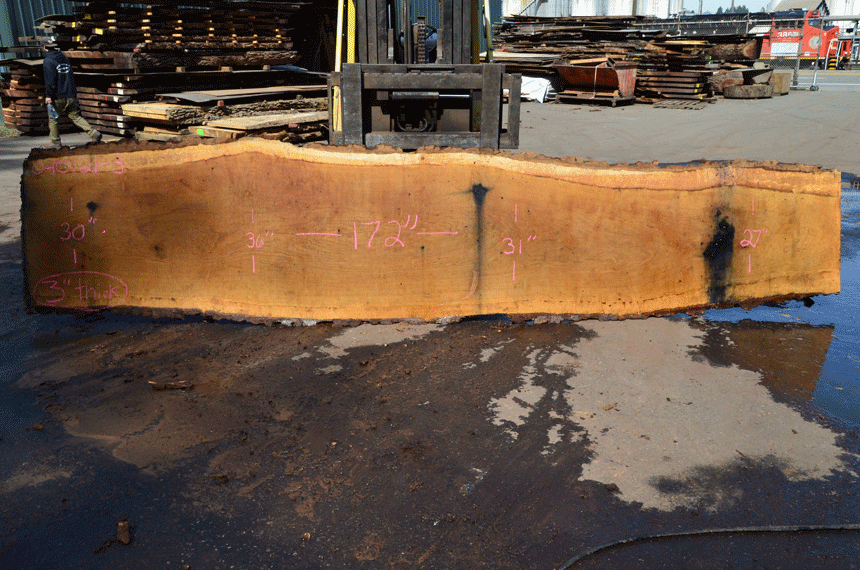 Oregon White Oak Slab 040121-03