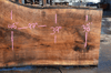 Oregon Black Walnut Slab 040621-03