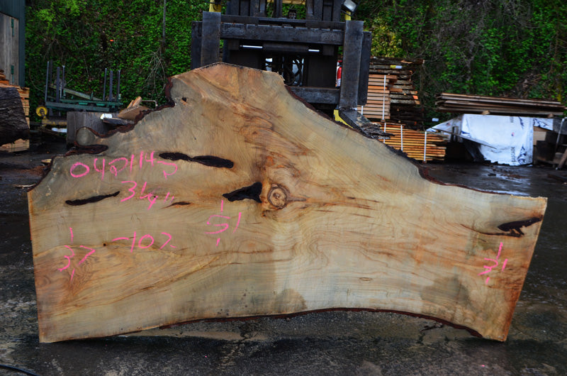 Big Leaf Maple Slab 042114-02