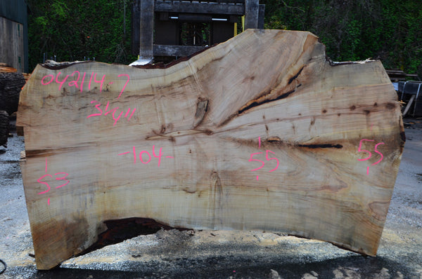 Big Leaf Maple Slab 042114-07