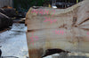 Big Leaf Maple Slab 042114-07