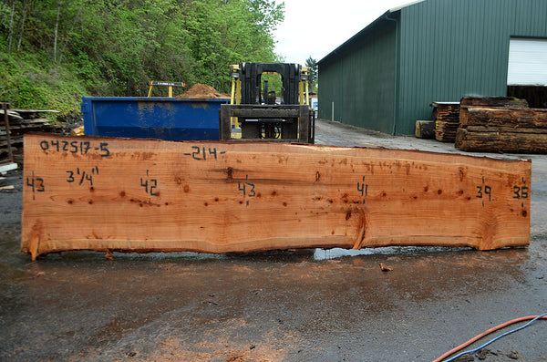 Oregon Redwood Slab 042517-05