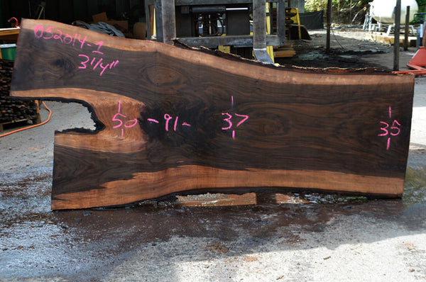 Bastogne Walnut Slab 052014-01