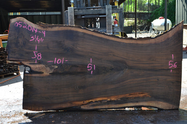 Bastogne Walnut Slab 052014-04