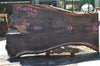 Bastogne Walnut Slab 052014-06