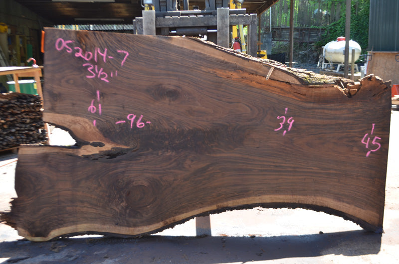 Bastogne Walnut Slab 052014-07