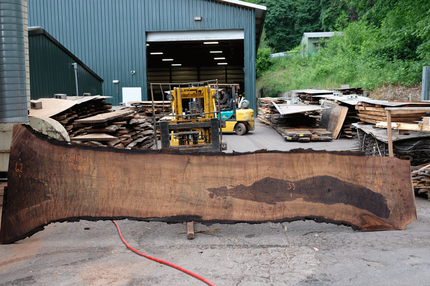 Oregon Black Walnut Slab 052418-01